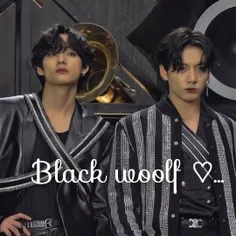 پارت ۳۷ : Black Woolf...