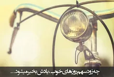 جملاتم هر روز کوتاه تر می شوند