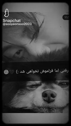 اما فراموش نخاهی شد........💔😭