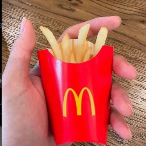 اصکی اجباری 🍟