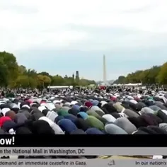 بیش از 5000 معترض حامی فلسطین در واشنگتن  نماز جماعت برگز