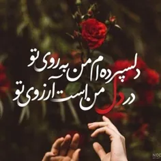 بهار جان تنها دلخوشی من تویی *تنها آرزوی من تویی عشقم 😍🙏😘