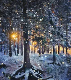 🕊 ❄ ️دراین شب زیبای زمستانی