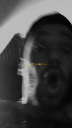i_am_blis 76062410