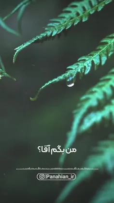 🌱 بهترین استغفار، عذرخواهی از بدحالیه!