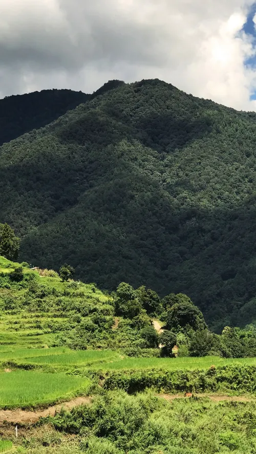 جـمیـݪ رائـع روعــہ ابــداع خاص قشنگ هنری بینظیر جذاب شیک