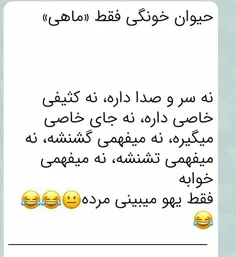 والا خیلی هم نانازه ☺ 😉