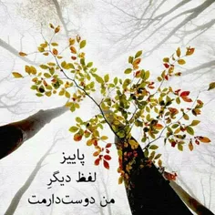 توشب های تنهایی من حس گنگ دلتنگی پرسه می زند!