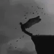mehrsa_13_0