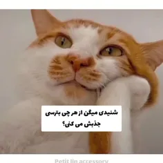 وایییی.. .. 