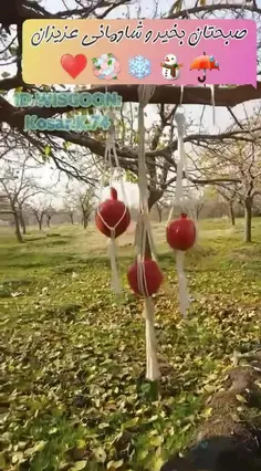 صبح زمستانی سردی هست