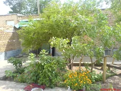 باغ