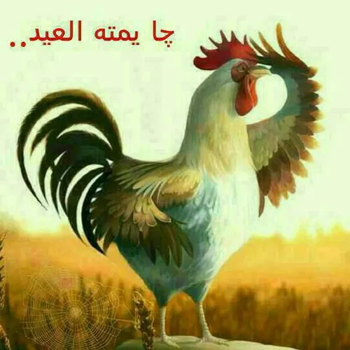 ای والله خخخخخ