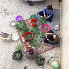 Women cutting the stems off the leafy green vegetables at