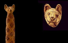 مصریان باستان گربه های خود را مومیایی میکردند! چون گربه ب