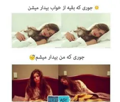 #بقیــــــــــه