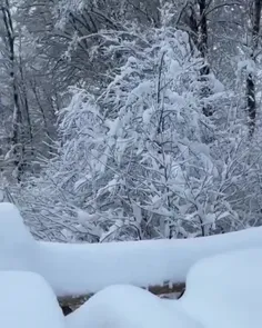 عصرتون به سفیدی برف❄⛄