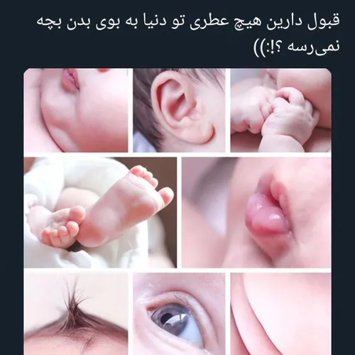  nnn-zzz 64938841 - عکس ویسگون