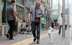 صاحب این سگ در سیچوان چین می گوید که این حیوان علاقه زیاد