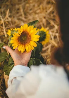 هیچ چیز همچون اراده به پرواز، پریدن را آسان نمیکند . .⛈🕊