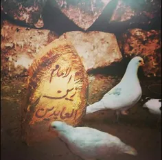 سالروز شهادت چهارمین امام شیعیان، حضرت زین العابدین (ع)، 