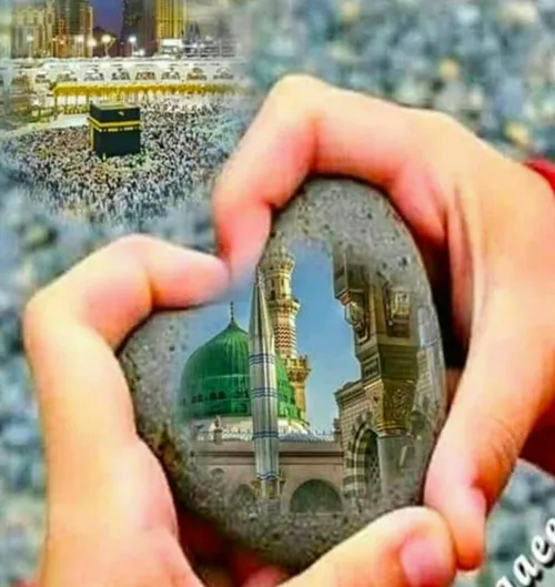 اِلـهي قَرَعْتُ بابَ رَحْمَتِكَ بِيَدِ رَجائي وَهَرَبْتُ 