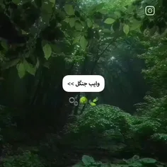 ولی این ویدیو 🥺🌵🤍..!