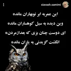 siavash.samimi 69840249