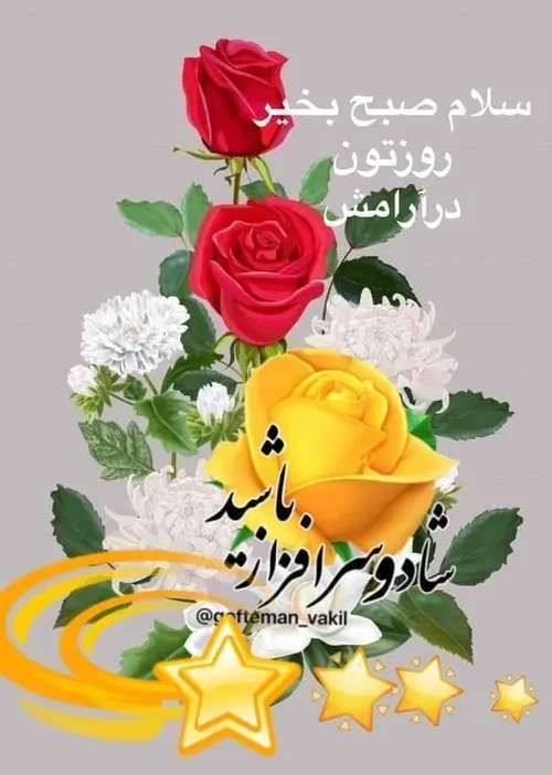  abbas9264 64242906 - عکس ویسگون