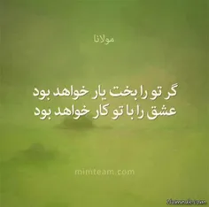 شعر و ادبیات ali1234b 25288454