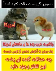 تفکرات غرب زده ها و عاشقان آمریکا