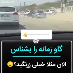 گاوی و گاوهایی هست و هستن که ....