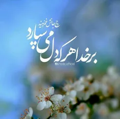 ✨ امام رضاع