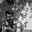 eman_17