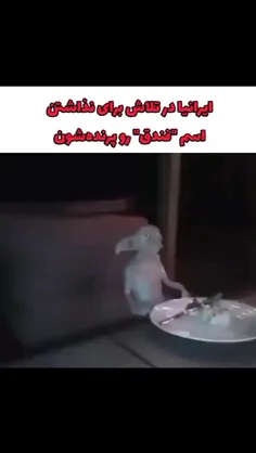 امروز ۵۰ تا ویدئو گذاشتم دیه حمایت کنید💔🗿