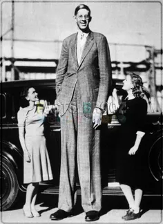 روبرت برشینگ وادلو،به عنوان بلند قدترین انسان روی کره زمی