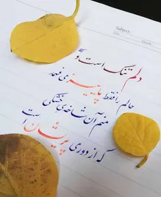 دلتنگی حال عجیبی است گویی خواهی مرد ولی نمیمیری...