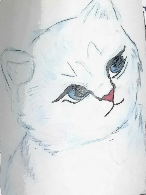 نقاشی گربه سفید