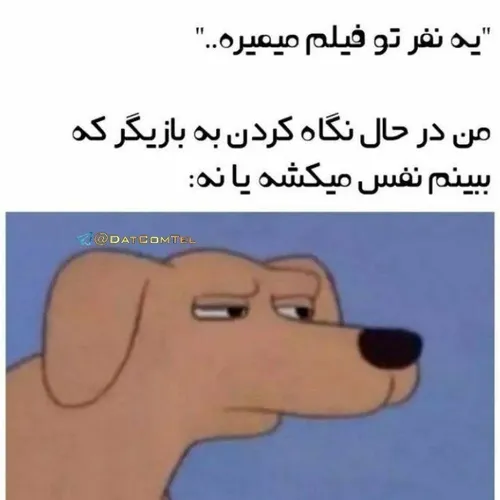 نگین که اینجوری نیست که باور نمیکنم!!!🤣🤣🤣