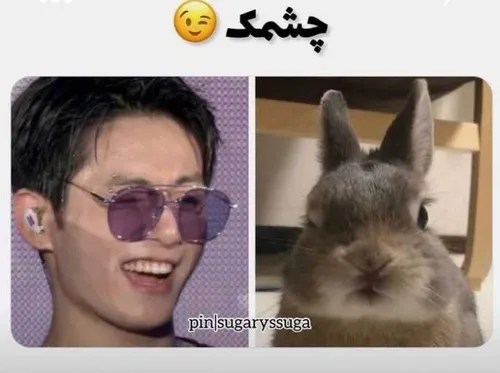 🐰😉