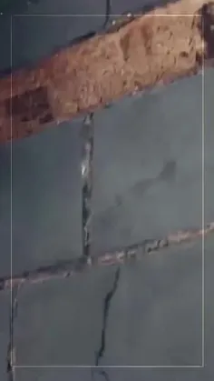 لطفا باز نشر 