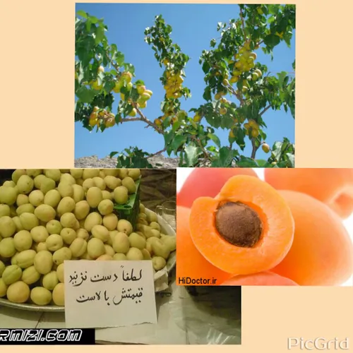 مردی حاشیه خیابون بساط پهن کرده بود،