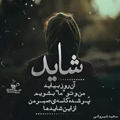 شاید ....