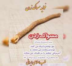 #مسواک_طبیعی