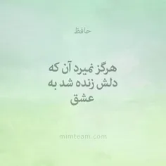 کانال میم‌تیم در تلگرام:
