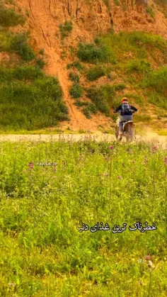 بیژی