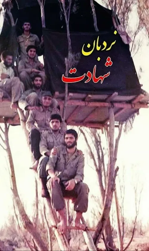 این عکسی که مشاهده می کنید معروفه