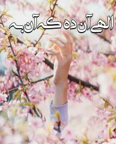 🌸  زیباترین فصل بهار