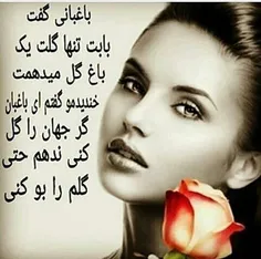 گوناگون arezo.abolhasani 15813888