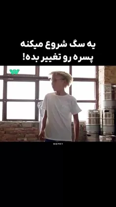 🎬 فیلم سینمایی مکس و فاکستر